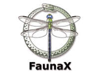 Bureau faunax