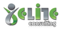 Elite consulting of canada