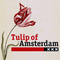Tulip of amsterdam b&b