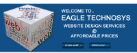 Eagle technosys
