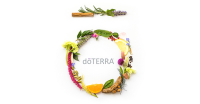 Buy doTERRA NZ