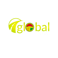 Global Driver Training