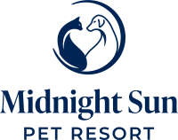 Midnight sun service dogs