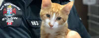 City of New Westminster Animal Shelter