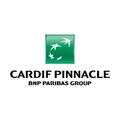 Cardif pinnacle