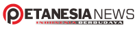 Petanesia, Indonesia Outlook on Maps and Data