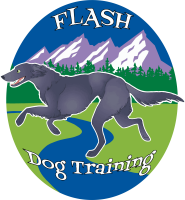 Flash Dog Training