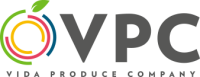 Grupo vpc