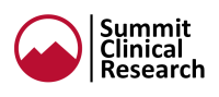 Summit research partners llc