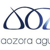 Pt aozora agung perkasa