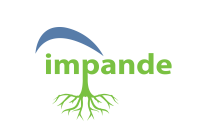 Impande engineers