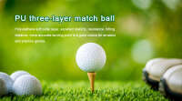 Shenzhen southport golf supplies co.,ltd