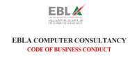 Tsl computer consulants