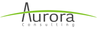 Aurora consulting group
