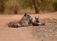rajasthantourswithsouvenir
