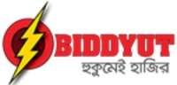 Biddyut limited
