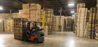 Rapid pallet inc