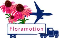 Floramotion