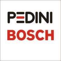Pedini-bosch nigeria limited