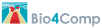 Bio4comp – parallel network-based biocomputation