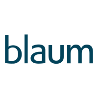 Blaum dettmers rabstein
