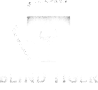 Blind tiger theatre company