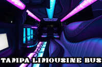 Tampa Limousine Bus