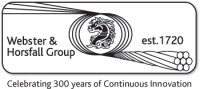 Websters group