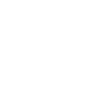 Lupus assets