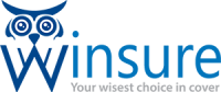Winsure insurance group