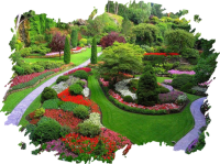 Pragati gardening services - india