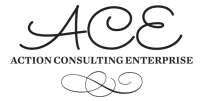 Executive action consulting