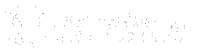 Technoside s.r.l.