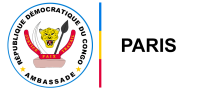 Ambassade du congo en france