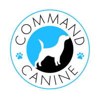 Command dog training school p/l