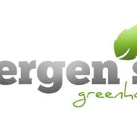 Bergen's greenhouses, inc.