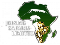 Join safari