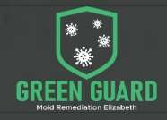 Green Guard Mold Specialist Elizabeth