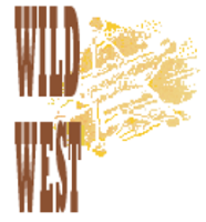Wild west lighting