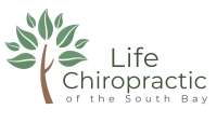 South bay family chiropractic