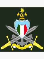 Maldives national defence force