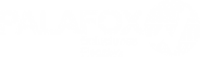 Palafox soluciones fiscales s.c.