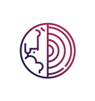 Idacapital ltd. (investments, diplomacy, advisory)