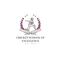 Cricket school of excellence