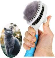 Itplus.cat