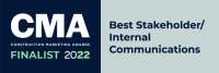 Satsuma solutions, professional services