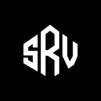 Srv gmbh