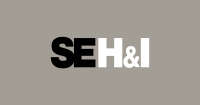 SE Holdings and Incubations