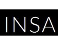Insa, ingeniería y servicios aeroespaciales, s.a