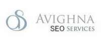Avighna SEO Solutions